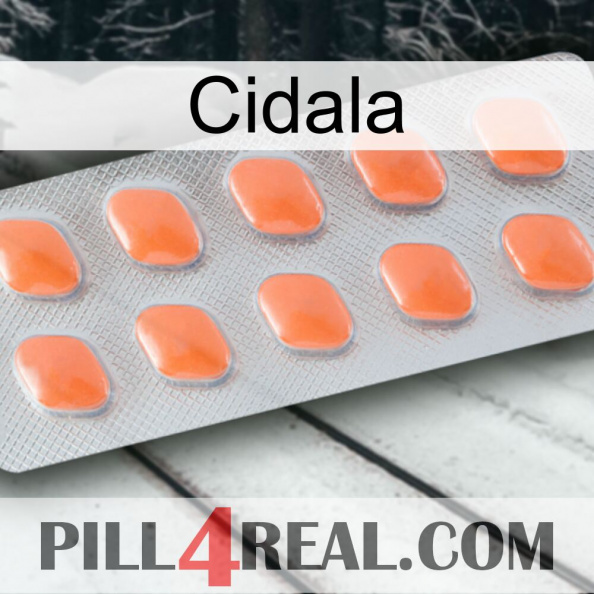 Cidala 26.jpg